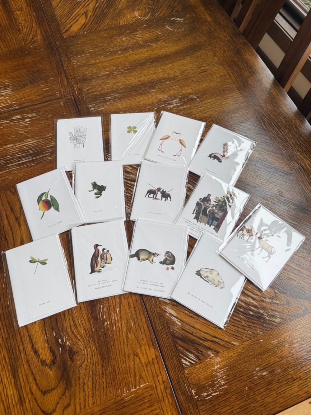 Margot Elena set of 13 cards